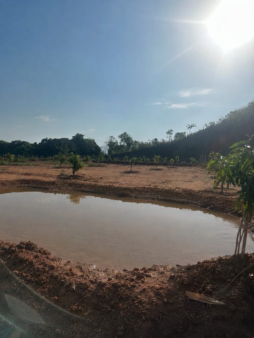 The mud pool at iPerFarm