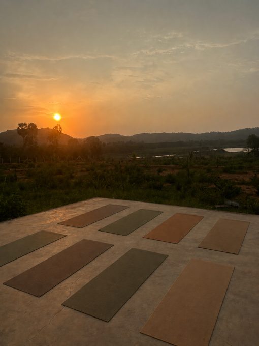 Sunrise yoga at iPerFarm
